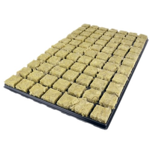 Grodan Tray mit 150 Steinwollblöcken 20 x 20 x 40 mm